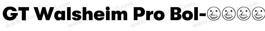 GT Walsheim Pro Bol字体转换